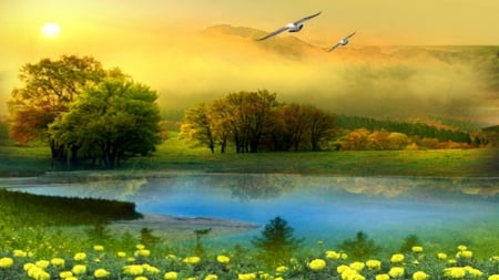 ~*~ Lake ~*~ - flowers, field, lake, birds