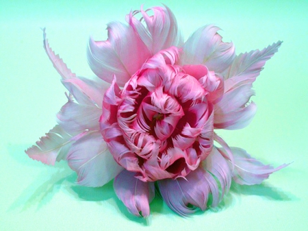 Feather peony - peony, art, flower, pink