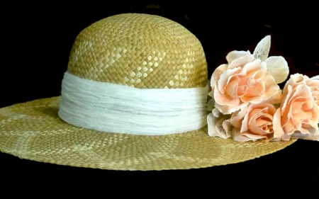 Lady's Sun Bonnet 1 - wide screen, photography, clothing, fashion, hats, photo