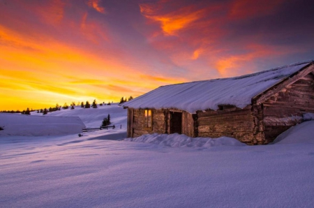 Winter - winter, nature, sunset, snow