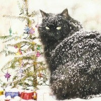 Christmas cat