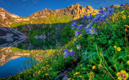 Lake flowers - greenery, hills, summer, blue, beautiful, slope, grass, freshness, roskc, mountain, flowers, wildflowers, nature, peak, lake, sky