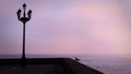 silence - pier, silence, lantern, bird