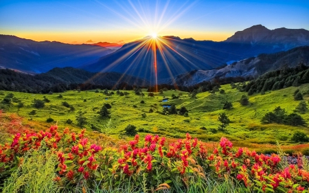 Glowing sunrise - summer, amazing, grass, meadow, sunrise, flowers, field, sky, sunlight, beautiful, morning, freshness, dazzling, glow, nature, sunset, rays, shine