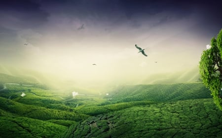 Green mountains - sky, sunlight, green, mountains, birds