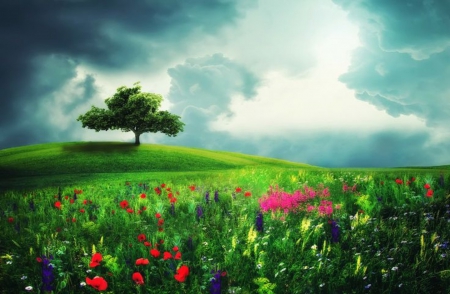 A dream - nature, beautiful, scenery, field, flowers, dream, spring