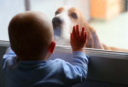 Boy and dog - animal, pretty, cute, animals, beautiful, sweet, puppy, puppys, dogs, lovely, dog