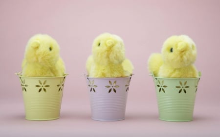 Three chicks - three, chicks, yellow, animals