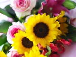 Beautiful Sunflowers & Roses