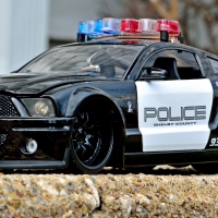 Shelby Patrol