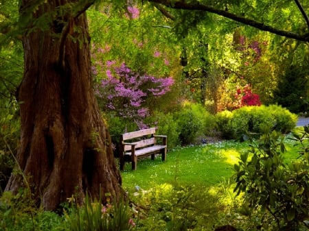 Waiting for...Minnie ãƒ„ - trees, pink, green, bench, meadow, flowers, grass, spring