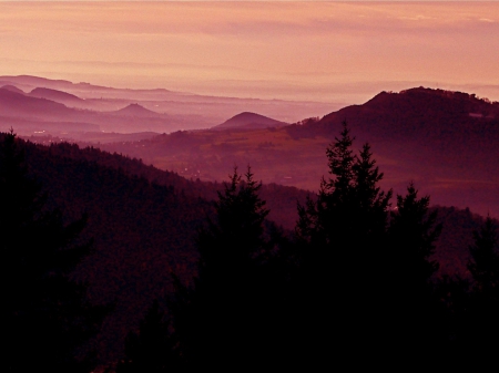 Black Forest - purple, landscape, trees, forest, mountains, black, germany