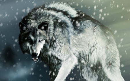 Wolf - wolf, wild, animals, snow