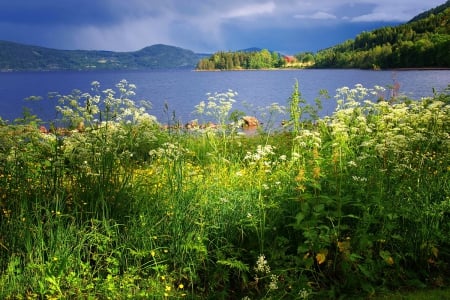 Cottage on lakeshore - calm, blue, beautiful, island, grass, wildflower, lakeshore, serenity, lake, cottage, sky