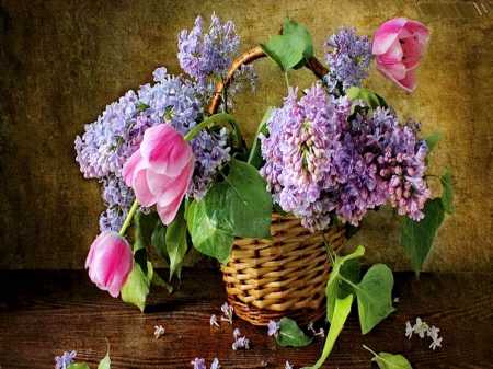 Blooms in a basket - flowers, basket, tulips, lilacs