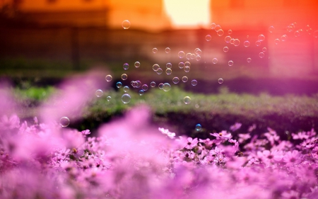 â™¥ - pink, orange, green, bubbles, flower