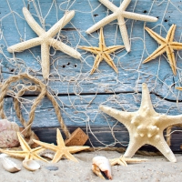 â™¥Starfishesâ™¥