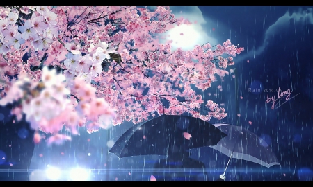 Rain - pretty, scenery, blossom, scene, night, umbrella, rain, nice, sakura, water, cherry blossom, beautiful, scenic, wet, beauty, lovely, sakura blossom, sweet, flower, petals, floral