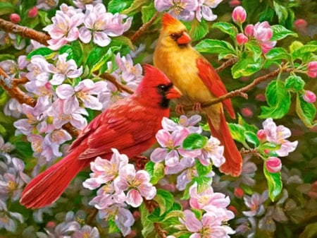 Spring romance - blossoms, birds, beautiful, spring, romance, lovely, freshness, blooming, leaves, cardinals, season, painting, art