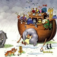 NOAH'S ARK