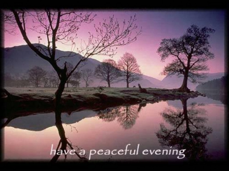 Greeting - greeting, lake, trees, graphic