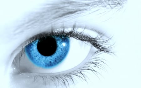 Blue eye - lashes, eye, blue, woman