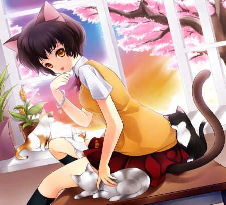 Neko-chan - school uniform, neko, girl, seifuku, orginal, nya, tail, cat