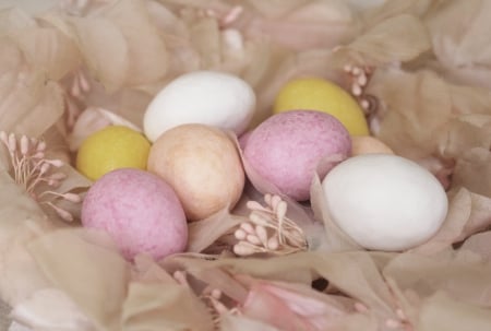 Easter Eggs - eggs, easter, easter eggs, spring