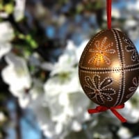 Easter Egg and Blossoms