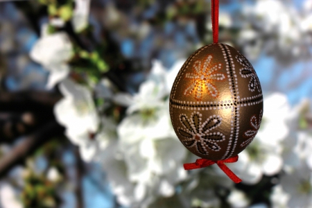 Easter Egg and Blossoms - blossoms, easter, easter egg, egg, spring