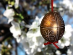 Easter Egg and Blossoms