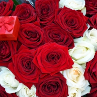 * Roses and gift *