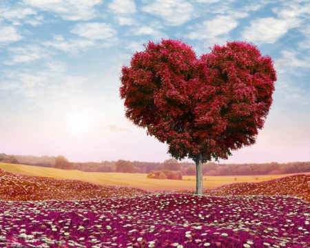 Red tree - field, sky, tree, nature