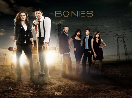 Bones - entertainment, fun, bones, cool, tv series