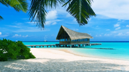 Pier at the Beach - summer, sky, palm, sea, cabin