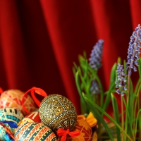 Easter Eggs and Grape Hyacinth