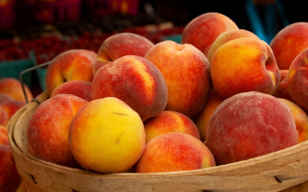 Peaches - basket, peache, food, fruit, fruits, peaches