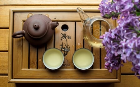 White Tea - white, ceremony, tea, teapot, flower