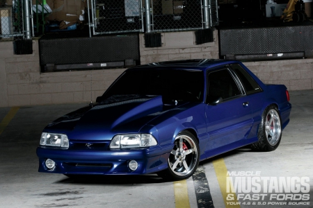 Muscle Mustang's Top 10 Ford Mustangs in America  for 2013 - cowl hood, ford, 1989, blue