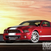 Muscle Mustang's Top 10 Ford Mustangs in America  for 2013