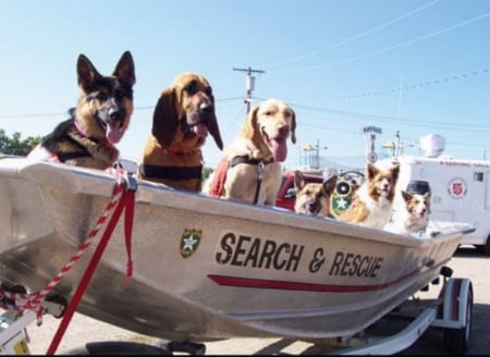 In a boat - ship, a, few, sit, little