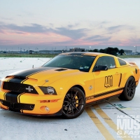 Muscle Mustang's Top 10 Ford Mustangs in America  for 2013