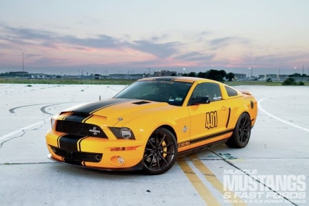 Muscle Mustang's Top 10 Ford Mustangs in America  for 2013 - 2007, black stripe, yellow, snake