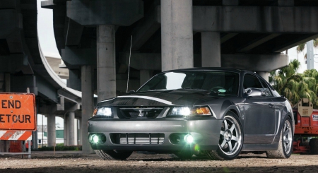 Muscle Mustang's Top 10 Ford Mustangs in America  for 2013 - ford, mustang, svt, gray