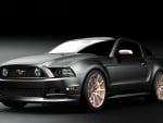 Muscle Mustang's Top 10 Ford Mustangs in America  for 2013