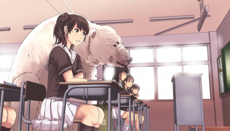 my classmate is a kuma !! - anime, class, classmate, uniform, bear, funny, cute girl, polar bear, students