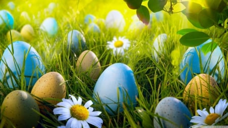 Easter egg hunt - celebrations, phorography, colorful, easter, painted egg, wallpaper, spring, hd, nature, holidays, abstract, colours, egg, flowers, grass