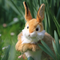 Easter bunny toy