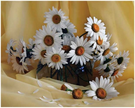 lovely daisies - daisies, flowers, lovely, srill life