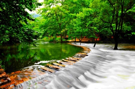 OVER FLOW - overflow, trees, water, pond, park